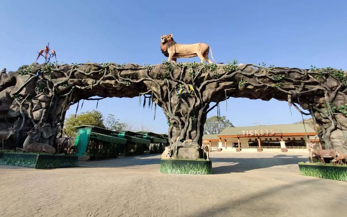 Jungle Safari Gallery Photo 1