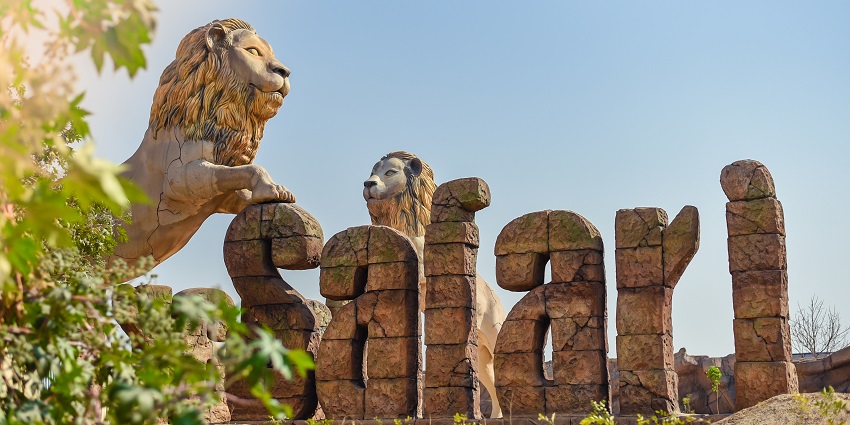 Jungle Safari Gallery Photo 3