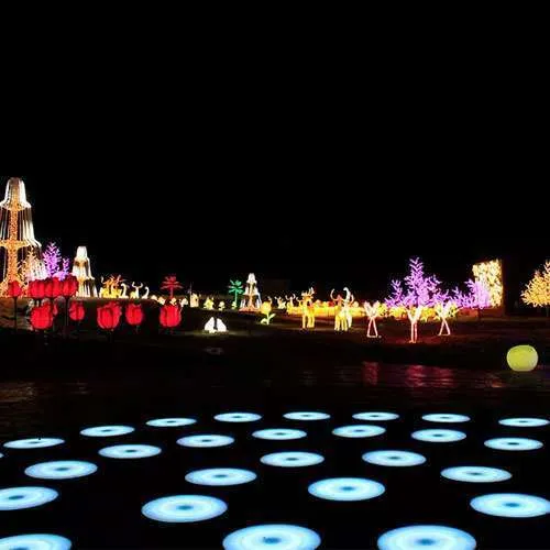 Unity Glow Garden Gallery Photo 1